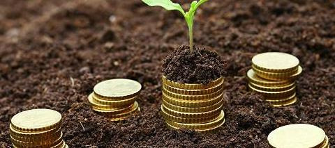 顺势而为什么意思【顺势而为的意思】