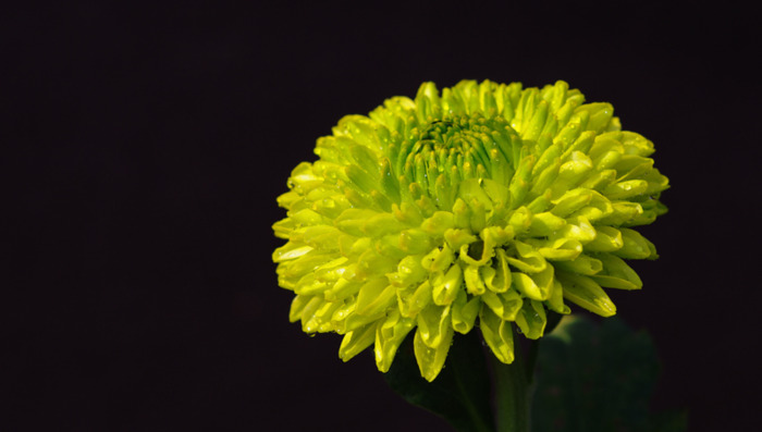 不低头不认输的句子【不认输不低头霸气说说】