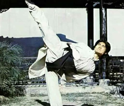 中国跆拳道黑带九段有谁【中国跆拳道黑带九段是谁】