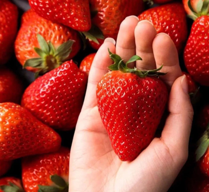 形容吃草莓的优美句子【形容草莓好吃的说说】