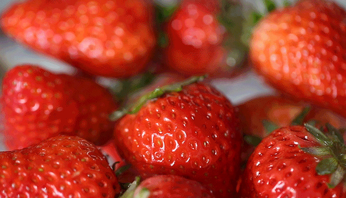 形容吃草莓的优美句子【形容草莓好吃的说说】