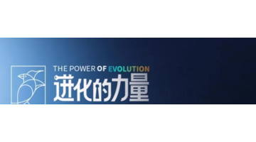 文字logo设计【文字logo设计说明】