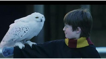 哈利波特影评【哈利波特影评英语】