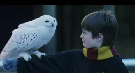 哈利波特影评【哈利波特影评英语】