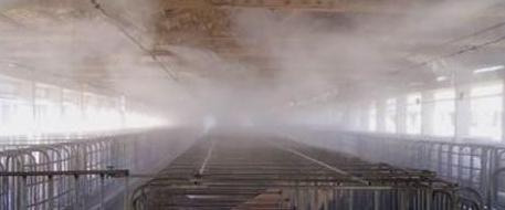 火碱用开水还是凉水【火碱用开水还是凉水消毒】