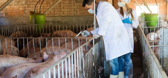 火碱用开水还是凉水【火碱用开水还是凉水消毒】