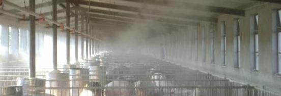 火碱用开水还是凉水【火碱用开水还是凉水消毒】