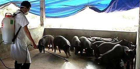 火碱用开水还是凉水【火碱用开水还是凉水消毒】