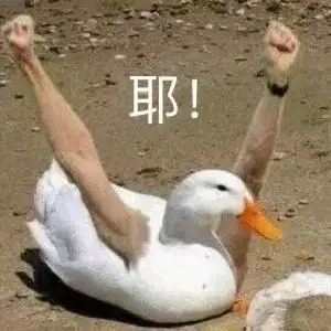 天猫海外旗舰店可靠吗【天猫官方海外旗舰店是真的吗】