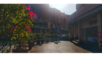 冬游作文开头怎么写【冬游作文的开头】