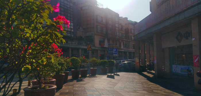 冬游作文开头怎么写【冬游作文的开头】