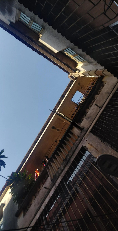 冬游作文开头怎么写【冬游作文的开头】