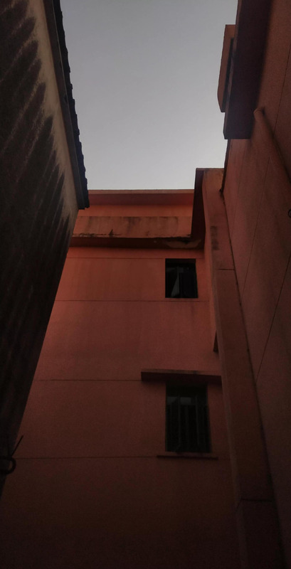 冬游作文开头怎么写【冬游作文的开头】