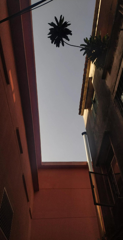 冬游作文开头怎么写【冬游作文的开头】