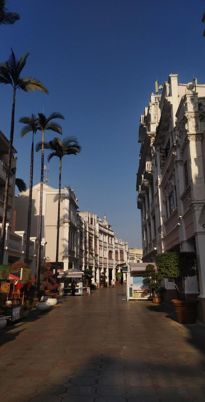 冬游作文开头怎么写【冬游作文的开头】