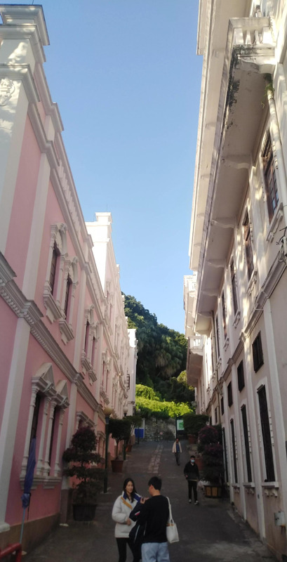 冬游作文开头怎么写【冬游作文的开头】