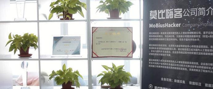 梅花创投【梅花创投是真的还是假的】