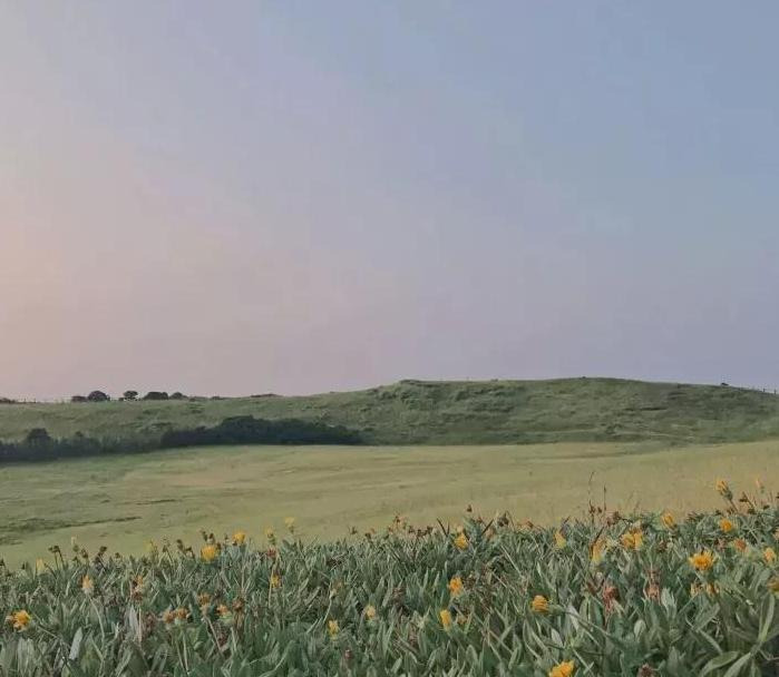 惊喜的说说【惊喜的说说心情句子】