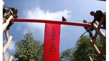 鸽子吉祥语句【鸽子的吉祥语】