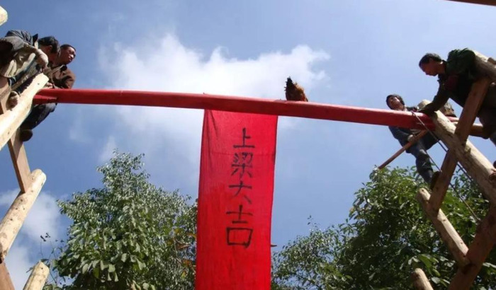 鸽子吉祥语句【鸽子的吉祥语】