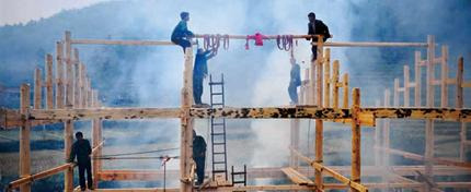 鸽子吉祥语句【鸽子的吉祥语】