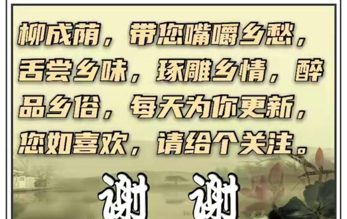 鸽子吉祥语句【鸽子的吉祥语】