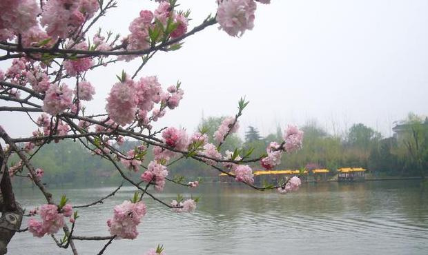 对联句子【过年对联句子】