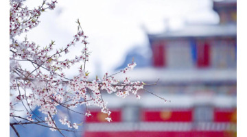 林芝到丽江经过哪些地方【丽江去林芝自由行攻略】