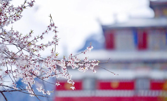 林芝到丽江经过哪些地方【丽江去林芝自由行攻略】