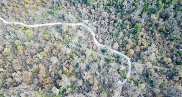 林芝到丽江经过哪些地方【丽江去林芝自由行攻略】