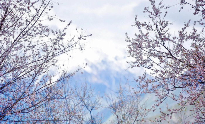 林芝到丽江经过哪些地方【丽江去林芝自由行攻略】