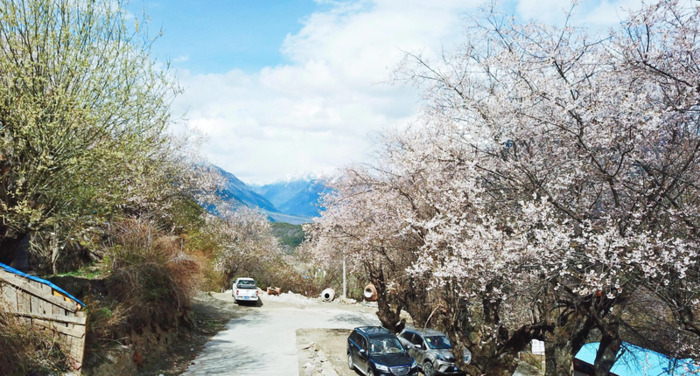 林芝到丽江经过哪些地方【丽江去林芝自由行攻略】