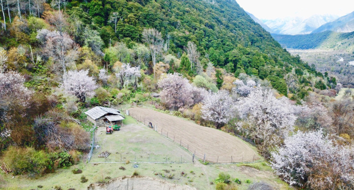 林芝到丽江经过哪些地方【丽江去林芝自由行攻略】