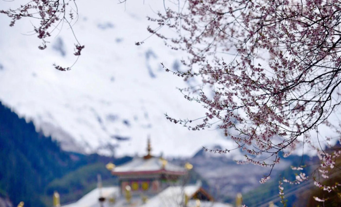 林芝到丽江经过哪些地方【丽江去林芝自由行攻略】