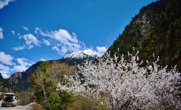 林芝到丽江经过哪些地方【丽江去林芝自由行攻略】