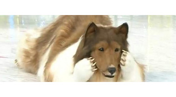 而这一位更是重量级【一个重量级】