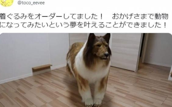 而这一位更是重量级【一个重量级】