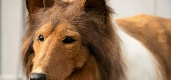 而这一位更是重量级【一个重量级】