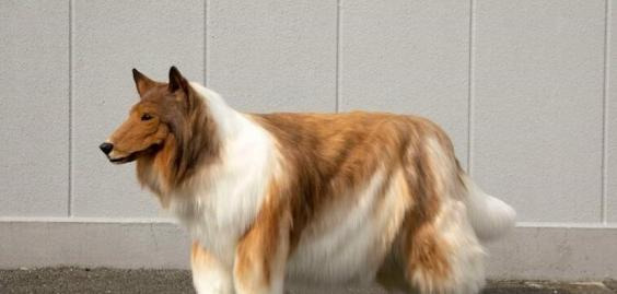 而这一位更是重量级【一个重量级】