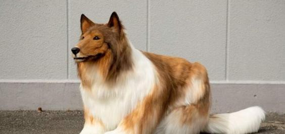 而这一位更是重量级【一个重量级】