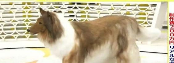 而这一位更是重量级【一个重量级】