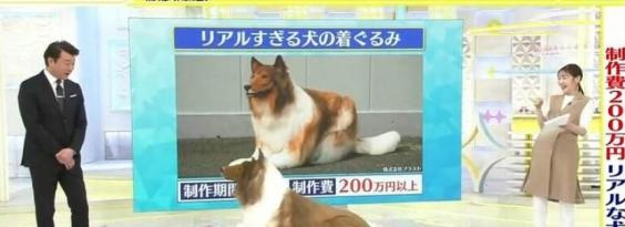 而这一位更是重量级【一个重量级】