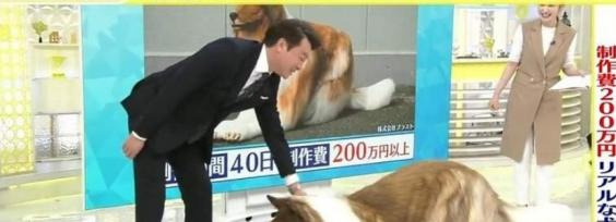 而这一位更是重量级【一个重量级】