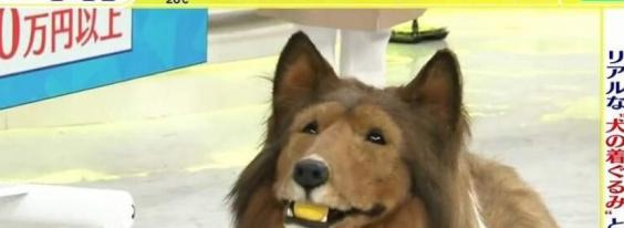 而这一位更是重量级【一个重量级】