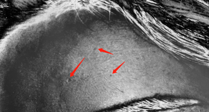 高低频磨皮混合画笔设置【高低频磨皮的三种方法】
