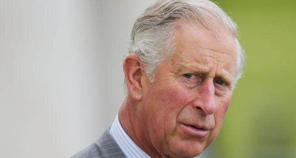 独角兽符号什么意思【独角兽的特殊符号】