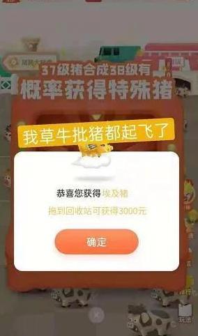 一起来养猪赚钱是真的吗有风险吗【一起来养猪赚钱是真的吗?网上养猪赚钱骗局】