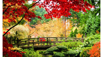 最稀有的星座【最稀有的星座排名】