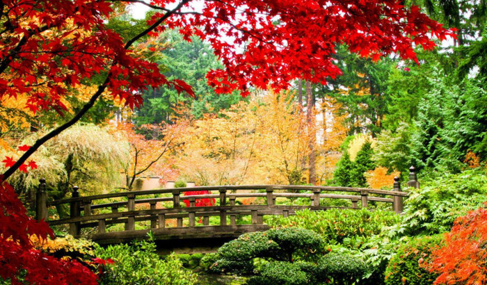 最稀有的星座【最稀有的星座排名】