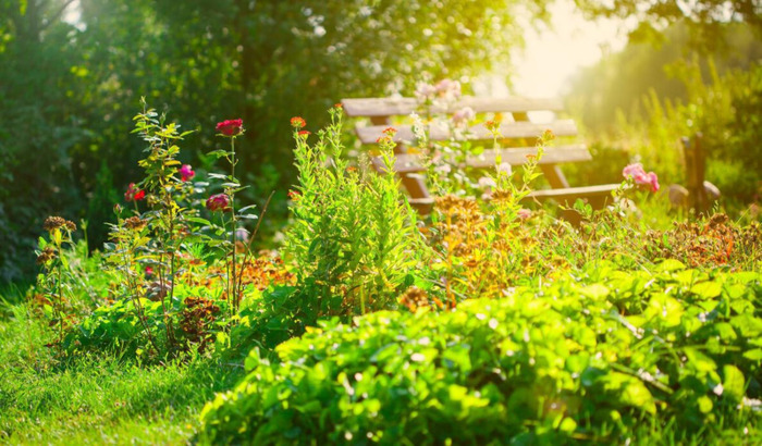 最稀有的星座【最稀有的星座排名】